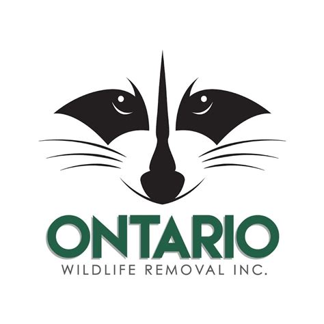 Ontario Wildlife Removal Inc. - YouTube