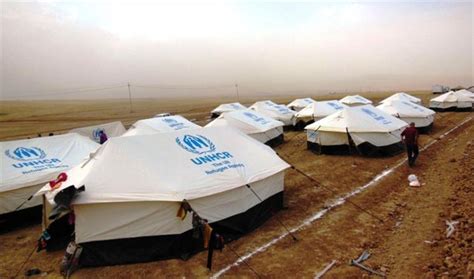 الأمم المتحدة عدد اللاجئين حول العالم تجاوز الـ 50 مليونا شبكة رصد الإخبارية