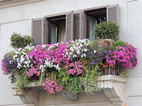 The different heights of the plants are visually appealing, and they help to fill out the box. 40 Window and Balcony Flower Box Ideas (PHOTOS) - Home ...