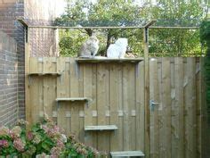Shop online for all your home improvement needs: 47 Best Cat proof gardens, fencing, containment systems ...