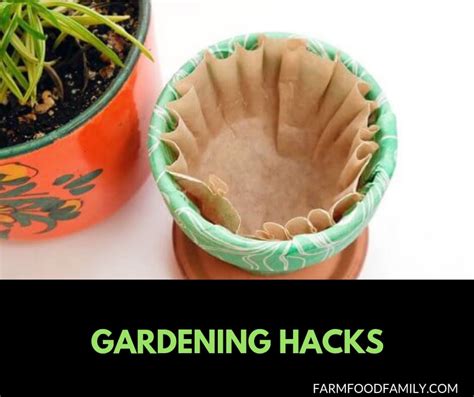 27 clever gardening hacks and tricks that you never thought of