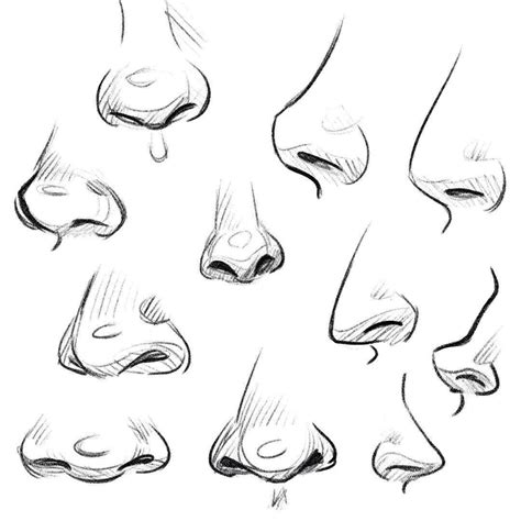 How To Draw Anime Boy Nose Vrogue
