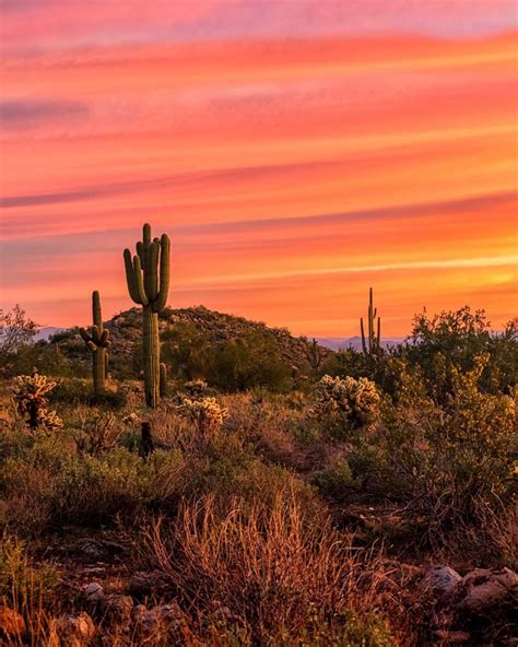 Sunset In Arizona Desert Sunset Photography Desert Sunset Arizona