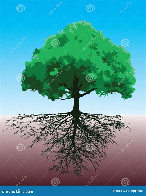 Tree With Roots Royalty Free Stock Image Image 3683126