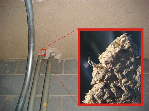 Asbestos Surfacing | Just one example of many types of asbes… | Flickr
