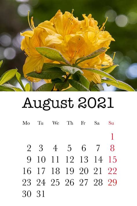Calendar Card For The Month Of August Stock Illustration Illustration