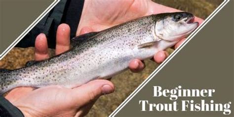 Trout Fishing Tips For Beginners How To Catch Fish A Man And His Rod
