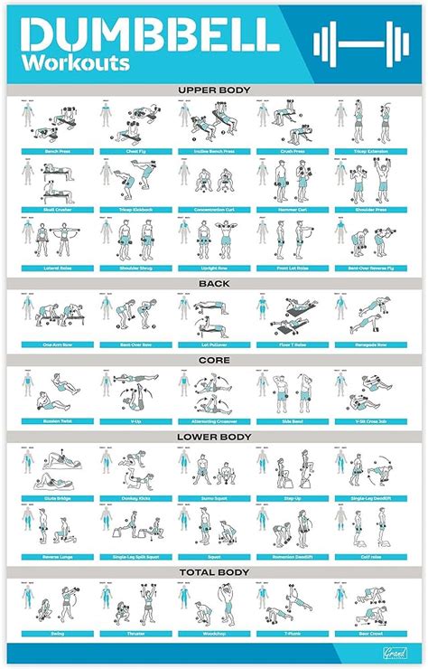 Newme Fitness Dumbbell Workout Exercise Poster Now Laminated Strength