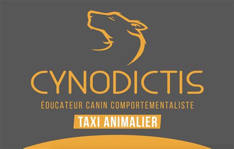 Taxi Animalier Dans Le 06 Éducateur Canin Comportementaliste à Nice
