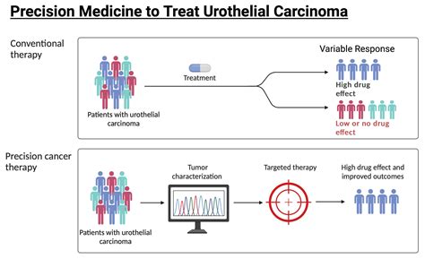 Cancers Free Full Text Precision Medicine To Treat Urothelial