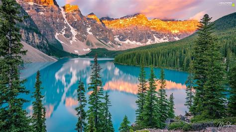 Province Of Alberta Canada Banff National Park Illuminated Trees