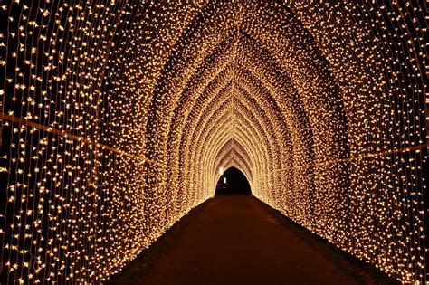Se Un Tunnel Di Luci Illumina Il Natale Di Londra Viaggioff
