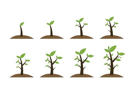 Free Grow Up Plant Icons 120152 Vector Art At Vecteezy