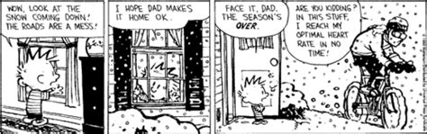 Daily Calvin And Hobbes • Happy New Years