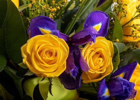 Beautiful Floristic Bouquet Of Blue Irises And Yellow Roses Stock