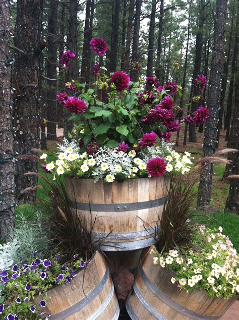The Ultimate Guide To Barrel Plant Pots
