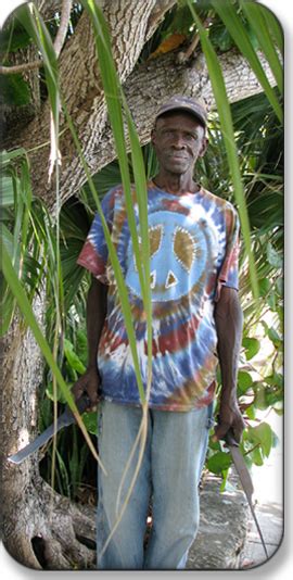 Bush Medicine Of The Bahamas A Cross Cultural Perspective From San