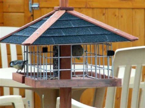 Kijk voor meer tuintips op vogelvoederhuisje voor nog geen tientje! Koolmeesje in ekster-proof voederhuis - YouTube