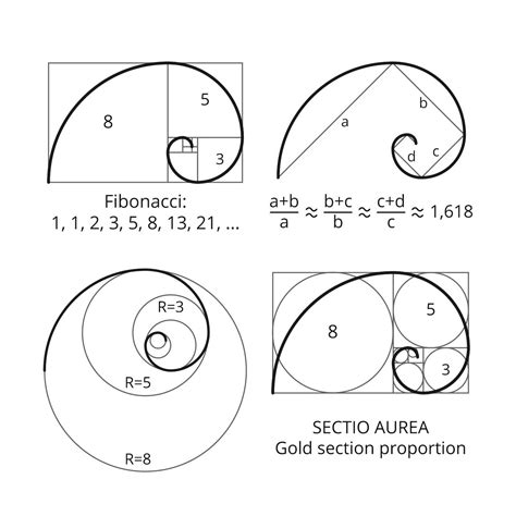 What Is The Fibonacci Sequence Fibonacci Sequence Art Fibonacci Art