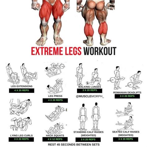 Extreme Legs Workout Step By Step Tutorial Leg Workouts Gym Legs