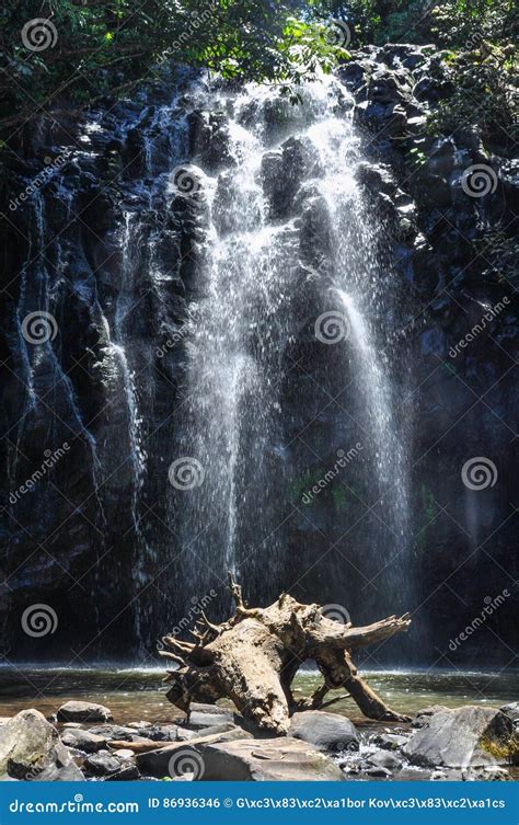 Ellinjaa Falls In Atherton Tablelands Australia Stock Photo Image Of