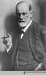 Young Man Freud | Books, Health and History