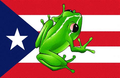 Puerto Rico Flag And Frog Store 232