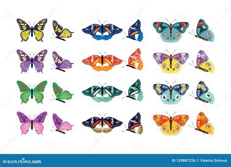 Set Of Colorful Butterflies Silhouettes Collection Spring And Summer