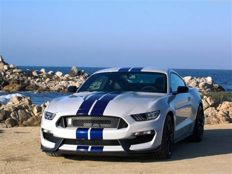 Ford Mustang Shelby Gt350 2016 White Shelby Mustang Gt350 Photo
