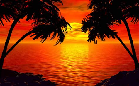 Paradise Sunset Tropical Island Palm Sea Red Sky Hd Wallpaper 2560x1600