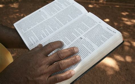 The Establishment Of The Kingdom Plain Bible Teaching