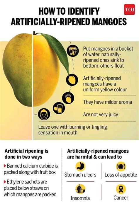 How To Identify Artificially Ripened Mangoes Summer Is Here And
