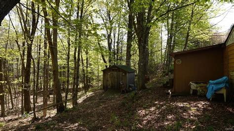 New York Cabin For Sale With 329 Acres Stream Under 40k Sold Old