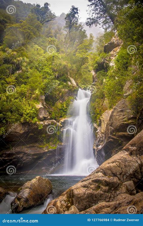 Foggy Rainforest Waterfall New Zealand Stock Photo Image Of Abel