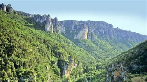 Cévennes, mountain range of southern france containing peaks over 5,000 feet (1,525 m) and forming the southeastern rim of the massif central, overlooking the lower valley of the rhône river and the. Open Letter: E.On's Ambitious Wood Power Station Plans in ...