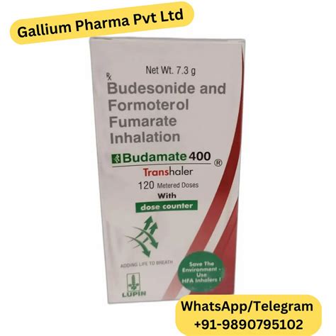 Budesonide And Formoterol Fumarate Inhaler 200 Mcg At Rs 394piece In