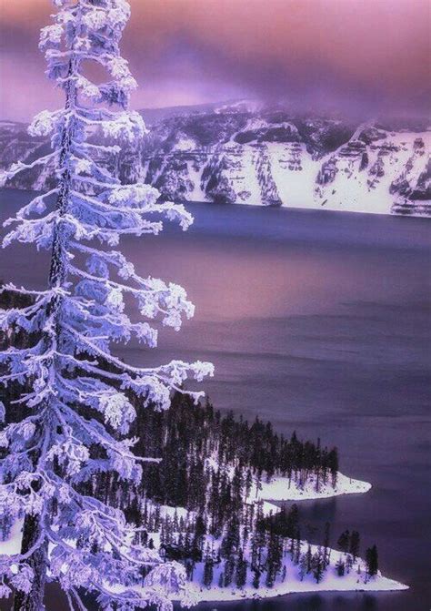 Pin By Cc On Winter Scenes Winter Scenes Crater Lake