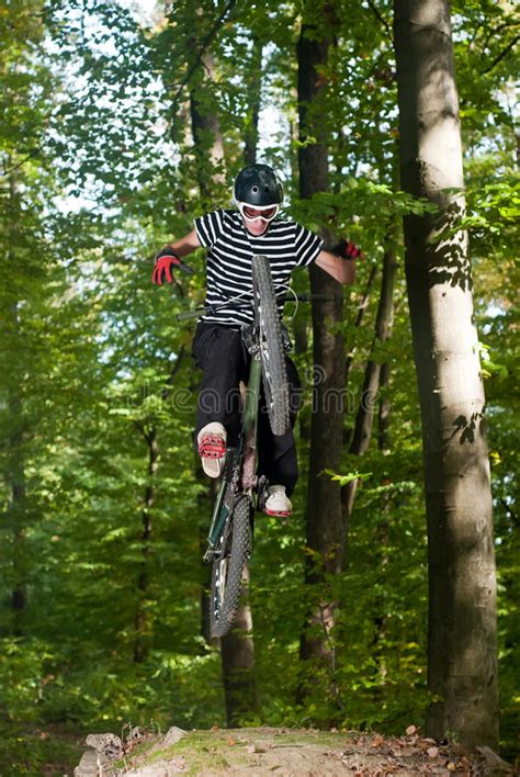 Cyclist Rides Through The Forest Stock Photo Image Of Flight Nature
