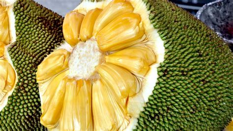 The Biggest Fruit In The World Jackfruit Article