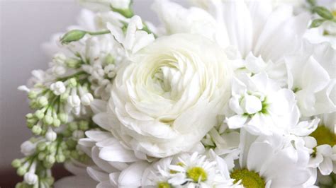 45 Most Beautiful White Flowers In The World That Are Amazing Youme