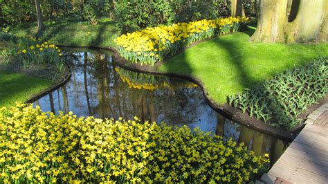 Photos Netherlands Keukenhof Nature Park Pond Daffodils 1920x1080