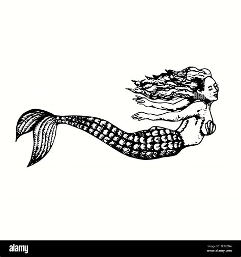 Original Mermaid Silhouette Drawing Art And Collectibles Pen And Ink Jan