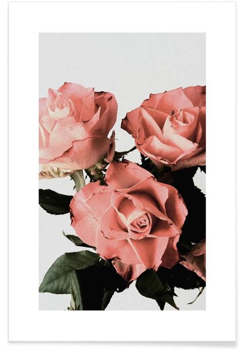 Roses Poster Juniqe