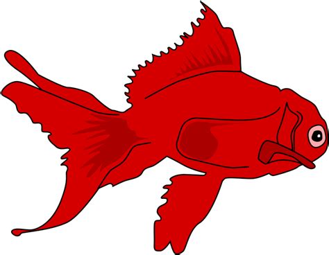 Red Fish Png