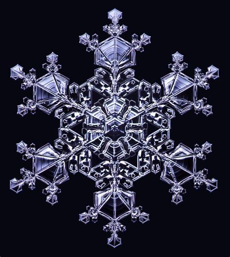 Dendritic Snowflake Galerie Prints Premium Photographic Prints