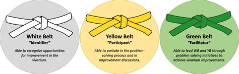 About Belt Certification The VOE Network
