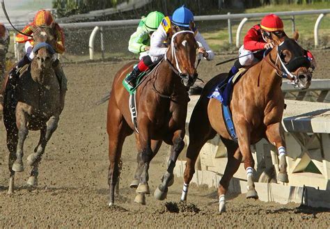 Preakness 2024 Location Symbol Lilla Margot