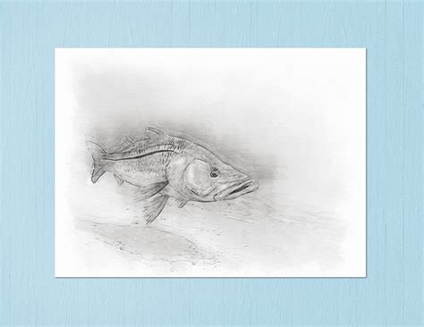 Snook Art Sketch Print A Great Snook Fisherman T Etsy