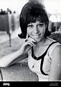 HELEN SHAPIRO UK pop singer here in 1966 Stock Photo - Alamy