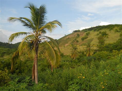 Haiti Landscape Ocean Landscape Beautiful Landscapes Blue Tropics